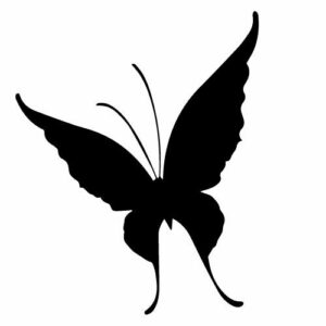 Samolepka Motýl, samolepky na sklo Motýl v Brně