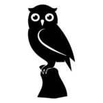 Samolepka Sova na kameni, samolepky na sklo Sova na kameni v Brně