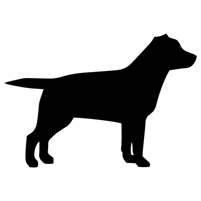 Originální samolepka na auto s psím motivem - Labradorský retrívr