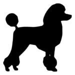 Originální samolepka na auto s psím motivem - Pudl