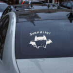 Samolepka Catman Surprise, Batman