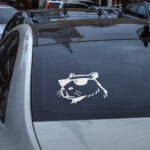 Samolepka Kapybara v brýlích na auto